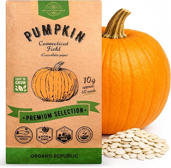 Organo Republic Pumpkin Connecticut Field Seeds Pack, 10G - Over 60 Non-GMO Heirloom Pumpkin Seeds for Planting Vegetables in Individual Seed Packet, Vegetable Seeds for Indoor & Outdoor Gardening