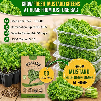 Organo Republic Mustard Southern Giant Seeds Pack 5 G - Over 3,950 Non-GMO Heirloom Mustard Seeds for Planting Greens in Individual Seed Packet, Greens Seeds for Planting Home Garden Indoor & Outdoor