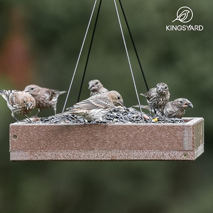 Kingsyard WPC Composite Platform Bird Feeder for Outside, Heavy Duty Hanging Tray for Mealworms & Seeds, 3.5 lbs Large Capacity, Weatherproof Recycled Plastic Material, Easy to Clean, Brown