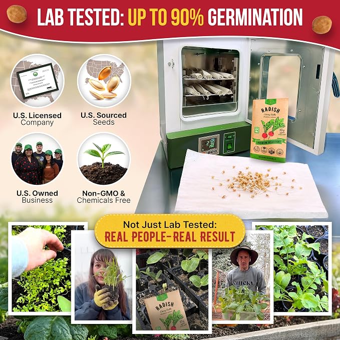 Cherry Belle Radish Seeds Pack 10 G - Over 1200 Non-GMO Heirloom Radish Seeds for Planting Vegetables in Individual Seed Packet, Vegetable Seeds for Planting Home Garden Indoor & Outdoor Gardening