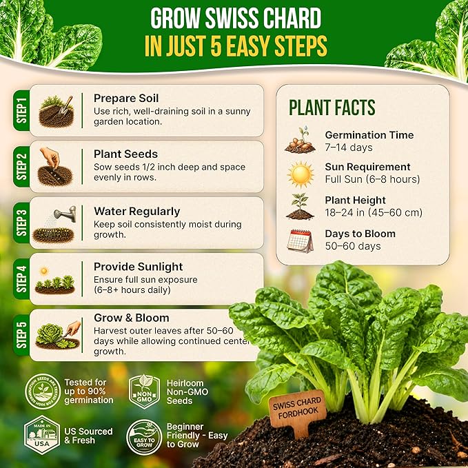 Organo Republic Swiss Chard Fordhook Seeds Pack 3.75 g - Over 200 Non-GMO Heirloom Swiss Chard Seeds for Planting Greens in Individual Seed Packet, Greens Seeds for Planting Indoor & Outdoor Garden