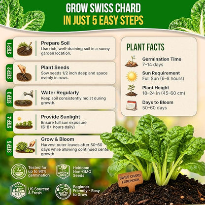 Organo Republic Swiss Chard Fordhook Seeds Pack 3.75 g - Over 200 Non-GMO Heirloom Swiss Chard Seeds for Planting Greens in Individual Seed Packet, Greens Seeds for Planting Indoor & Outdoor Garden
