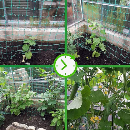 Trellis Netting for Climbing Plants - Heavy Duty Garden Trellis Netting for Cucumber, Vine, Fruits & Vegetables Tomato Plants Trellis Net, Climbing Vining Plants (1-Pack 32.8' x 6.6'Ft)