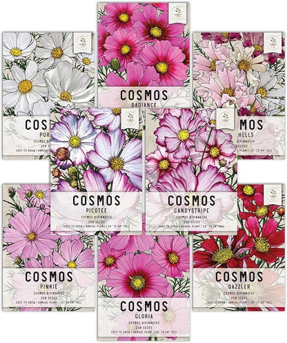 Seed Needs Cosmos Seeds Variety Pack of 8 Flowers for a Butterfly Garden