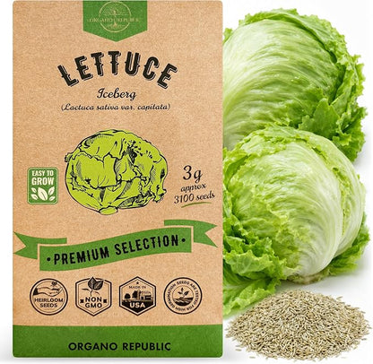 Lettuce Iceberg Seeds Pack 3G - Over 3,100 Non-GMO Heirloom Lettuce Seeds for Planting Greens in Individual Seed Packet, Greens Seeds for Planting Home Garden Indoor & Outdoor Gardening