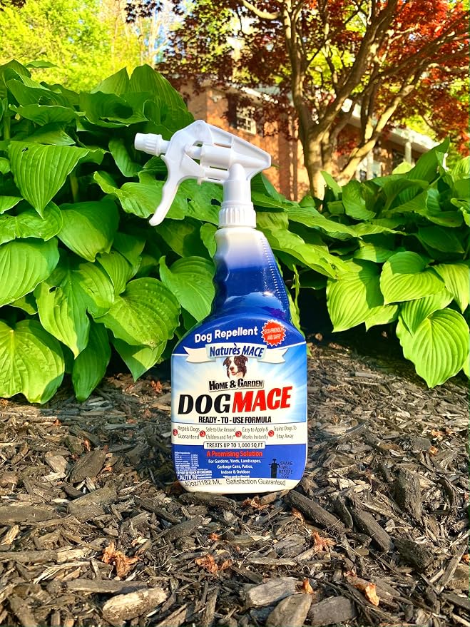 Nature’s MACE Dog Mace Repellent Spray, Keep Dogs Out of Your Lawn and Garden, Training Corrector, Stop Chewing and Digging, Safe Around Kids, Pets, & Plants, 40 oz Ready to Use, Treats 1,000 Sq. Ft.