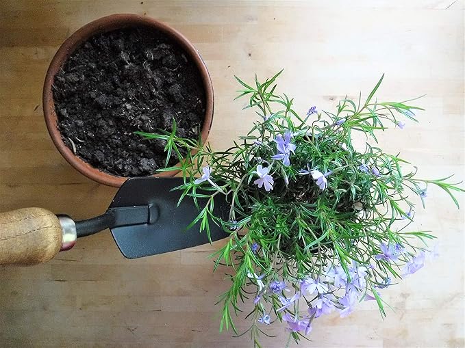 Gardener's Essential Tool Set, Garden Tote, Farmhouse Garden Tools, Garden Bag, Gift for Gardeners