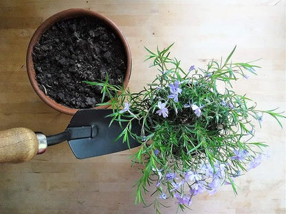 Gardener's Essential Tool Set, Garden Tote, Farmhouse Garden Tools, Garden Bag, Gift for Gardeners