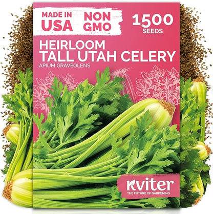 KVITER 1500 Tall Utah Celery Seeds (Apium Graveolens) - Celery with Tall Crisp Stalks, Unique Mild Flavor, Non GMO, Heirloom Seed Packets - Vegetable Seeds for Outdoors, Home Garden, Raised Beds