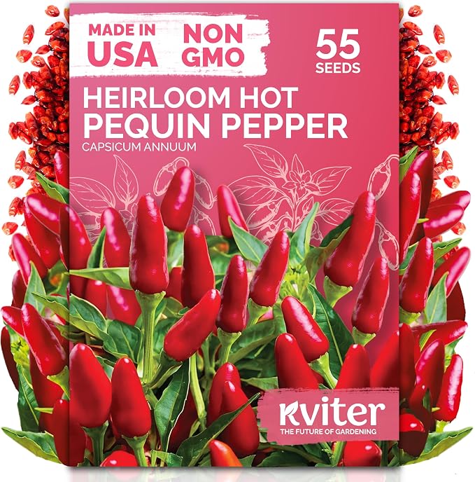 KVITER 55 Hot Pequin Pepper Seeds (Capsicum Annuum) Chile Piquin, Spicy, Heat Tolerant, Heirloom, Non GMO Seed Packets - Annual Vegetable Seeds for Containers, Greenhouses, Vegetable Garden