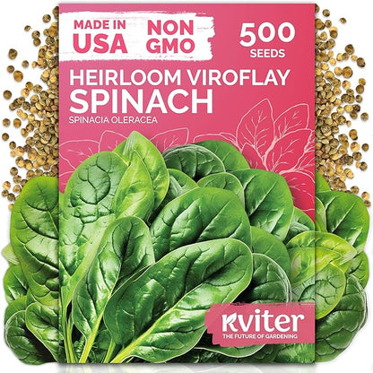 KVITER 500 Viroflay Spinach Seeds (Spinacia Oleracea) - Cold Tolerant Spinach, Fast Growing Heirloom Seed, Non GMO Seed Packets - Vegetable Seeds for Outdoors, Home Garden, Raised Beds