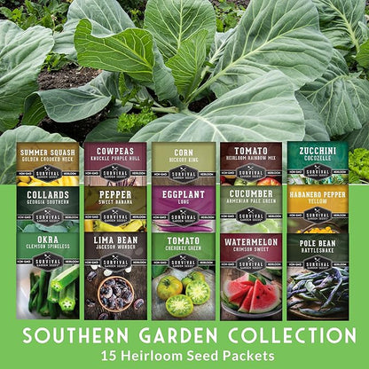 Southern Vegetable Seeds Collection – 15 Heirloom Heat Loving Vegetables Variety Pack for Planting – Okra, Collard Greens, Purple Hull Peas, Dent Corn – Survival Garden Seeds