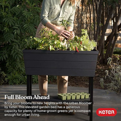 Keter Urban Bloomer 12.7‑Gallon Raised Garden Bed – Elevated Outdoor Planter Box with Self‑Watering Reservoir, Water Gauge & Drainage System, Perfect for Herbs & Vegetables, Dark Grey