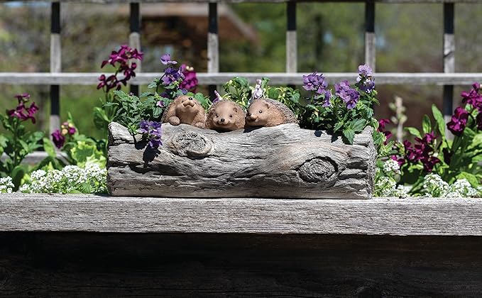Roman, 5.25" h x 14" W Hedghog Garden Planter, Outdoor Decor,Whimsical Resin Outdoor Pot, Cute Animal Yard Décor, Unique for Garden or Patio