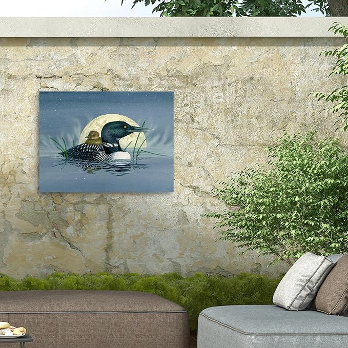 Outdoor Canvas Art - Dave Bartholet 'Loon Moon' Wall Art for Outdoor Spaces, Patios, or Gardens by Trademark Fine Art