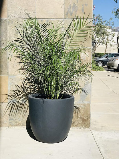 Kante 18 Inch Dia Round Concrete Planter, Indoor Outdoor Large Plant Pot with Drainage Hole and Rubber Plug for Home Patio Garden, Charcoal