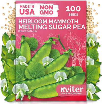 KVITER 100 Mammoth Melting Snow Pea Seeds (Pisum Sativum) - Mammoth Melting Sugar Snow Pea, Large Sweet Pods, Non GMO Seed Packets - Heirloom Vegetable Seeds for Home Garden, Raised Beds