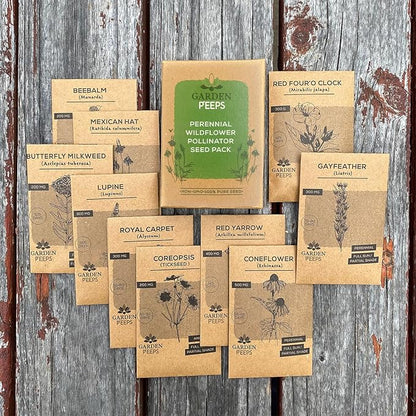 Perennial Wildflower Pollinator Seed Pack - 10 Unique Varieties, 100% Pure, Non-GMO, Eco-Friendly Seeds for Year-Round Blooms