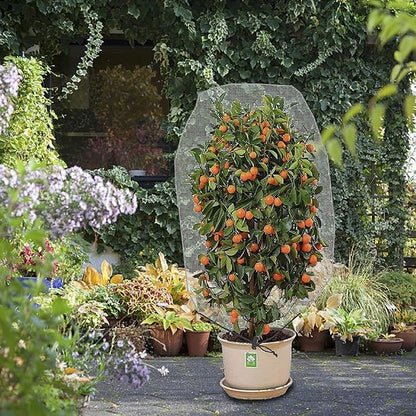 Alpurple 3 PCS Insect Bird Barrier Netting Mesh with Drawstring- 3.2 x 2.6 Feet Fruit Tree Net-Garden Netting Plant Cover for Protect Plant Fruits Flower from Insect Bird Eating