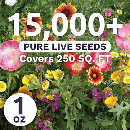 Southwest Regional Mix - Large 1 Ounce Packet - 15,000 Flower Seeds for Planting - Wildflower Mix