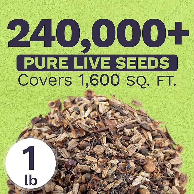 Texas Oklahoma Regional Mix Seeds for Planting - Bulk 1 Pound Bag - Over 240,000 Native Seeds - Open Pollinated and Non GMO