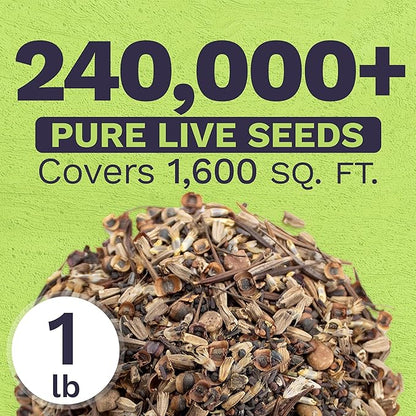 Texas Oklahoma Regional Mix Seeds for Planting - Bulk 1 Pound Bag - Over 240,000 Native Seeds - Open Pollinated and Non GMO