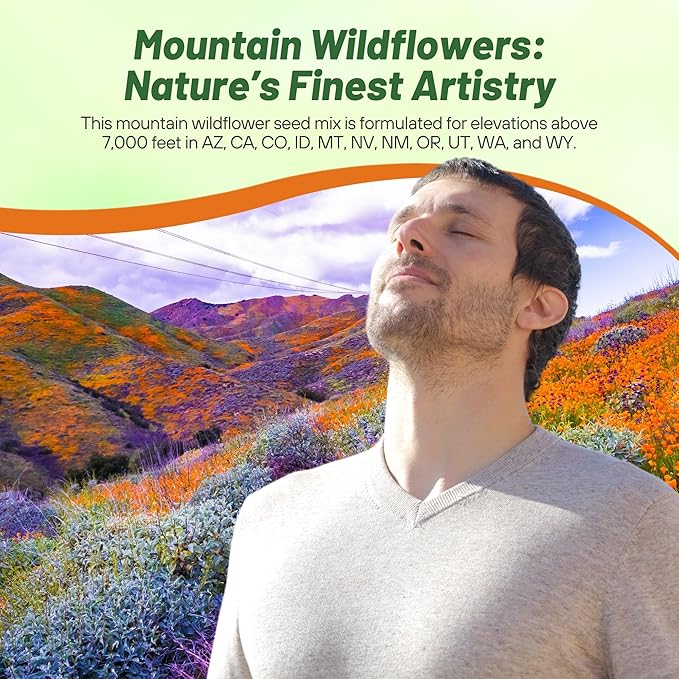 Outsidepride Mountain Wild Flower Seed Mix - 1 lb Premium Blend of Annual & Perennial Wildflower Seeds for High-Elevation in USDA Zones 3-8, Ideal for Mountain Gardens, Low-Maintenance & Easy to Grow
