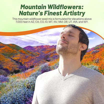Outsidepride Mountain Wild Flower Seed Mix - 1 lb Premium Blend of Annual & Perennial Wildflower Seeds for High-Elevation in USDA Zones 3-8, Ideal for Mountain Gardens, Low-Maintenance & Easy to Grow