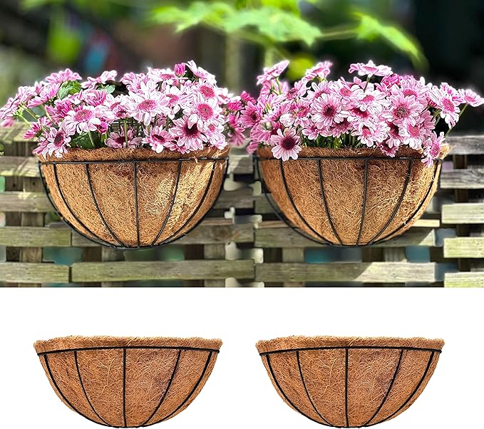 LaLaGreen Wall Hanging Planters, 2 Pack, 12 Inch Wall Mounted Flower Baskets with Coco Liner, Metal Iron Wire Plant Holder for Outdoor Window Box Herb Outside Fence Railing Deck Porch Balcony Garden
