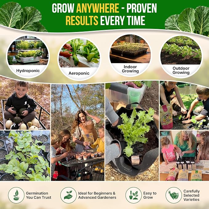 Organo Republic Collard Georgia Southern Seeds Pack 5G - Over 1900 Non-GMO Heirloom Collard Seeds for Planting Vegetable in Individual Seed Packet Vegetables Seeds for Planting Indoor & Outdoor