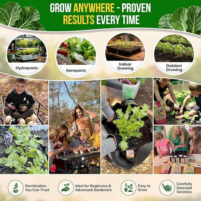 Organo Republic Collard Georgia Southern Seeds Pack 5G - Over 1900 Non-GMO Heirloom Collard Seeds for Planting Vegetable in Individual Seed Packet Vegetables Seeds for Planting Indoor & Outdoor
