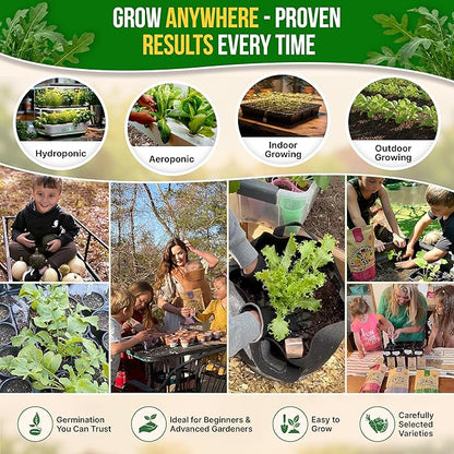 Organo Republic Arugula Roquette Seeds Pack 5G - Over 2900 Non-GMO Heirloom Arugula Seeds for Planting Greens in Individual Seed Packet, Greens Seeds for Planting Home Garden Indoor & Outdoor Garden