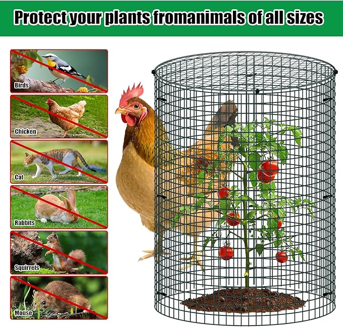 5 Pack Wire Plant Protector with Cover, 16"x12" Detachable Metal Plant Protectors Mesh, Garden Plant Protectors for Shrubs Flowers Vegetables to Keep Rabbit & Chicken Animals Out