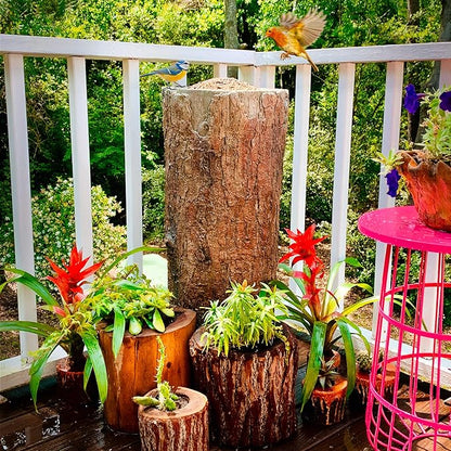 Nature's Feast Wild Bird, Squirrel & Critter Feeder. Tree Stand Buffet for Nature Lovers. Woodland Farmhouse Large Patio & Garden Platform.