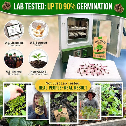 Organo Republic Swiss Chard Ruby Red Seeds Pack 3.75G - Over 200 Non-GMO Heirloom Swiss Chard Seeds for Planting Greens in Individual Seed Packet, Greens Seed for Planting Home Garden Indoor & Outdoor