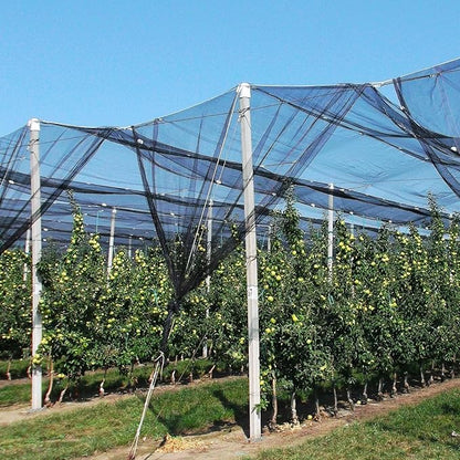 39 x 10 Ft Mosquito Netting, Garden Bird Netting for Patio, Insect Mosquito Net for Plant Protection Breathable Mesh Garden Plant Covers Protect Vegetables Fruits from Birds Bugs