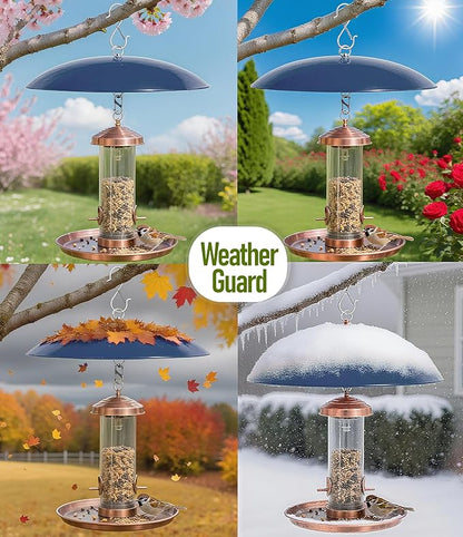 13" Bird Feeder Rain Cover,Bird House Dome,Hummingbird Feeder Guard, Proof for Shepherd's Hook Outdoors,Smart Birds Feeder's Umbrella(Blue), 4Pack