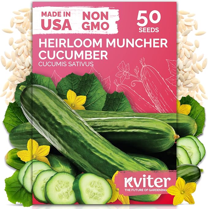 KVITER 50 Muncher Cucumber Seeds (Cucumis sativus) – Burpless & Seedless Cucumber, Non GMO & Heirloom Cucumbers – Vegetable Seeds for Planting Outdoors in Home Garden & Containers