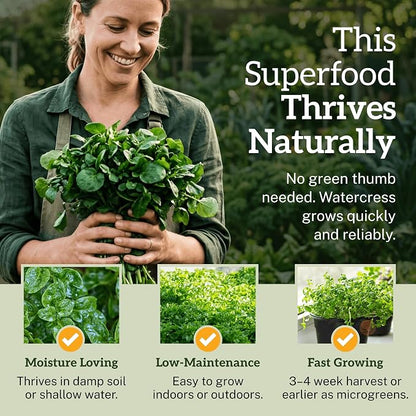 TKE Farms & Gardens - Watercress Seeds for Planting, 1500+ Non-GMO Heirloom Seeds, Grow a Nutrient-Rich Superfood, Easy for Indoor & Outdoor Gardens, Includes Planting Instructions, Qty 1