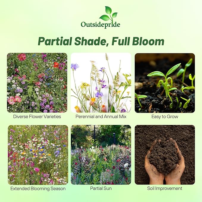 Outsidepride Partial Shade Wild Flower Seed Mix for All States - 1/4 lb. Premium Blend of Annual & Perennial Wildflowers, Perfect for Partial Shade Areas, & Outdoor Planting for Gardens & Lawns