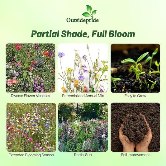 Outsidepride Partial Shade Wild Flower Seed Mix for All States - 1/4 lb. Premium Blend of Annual & Perennial Wildflowers, Perfect for Partial Shade Areas, & Outdoor Planting for Gardens & Lawns