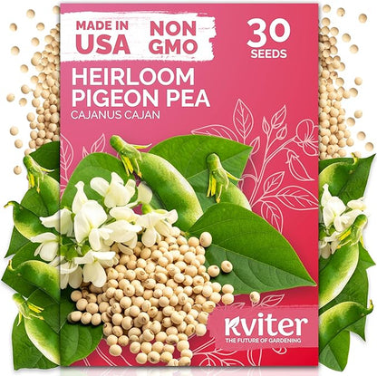 KVITER 30 Guandules Pigeon Peas Seeds for Planting (Cajanus Cajan) – a.k.a Gandules Goya, Gungo Peas, Congo Pea Non GMO – Heirloom Vegetable Seeds to Plant in Outdoor Garden & Trellises