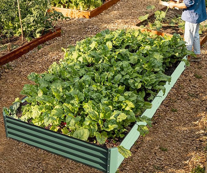 Domi Galvanized Raised Garden Bed, Outdoor Planter Garden Boxes Large Metal Planter Box for Gardening Vegetables Fruits Flowers, Green (8x4x1ft)