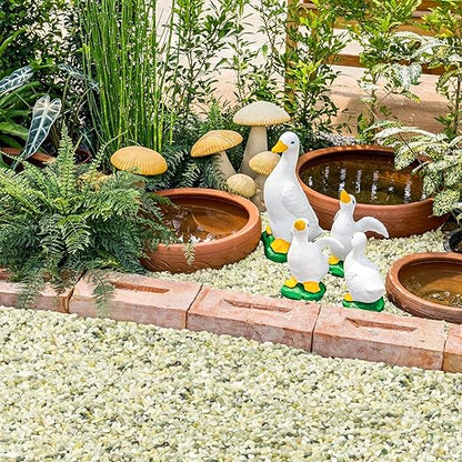 GreatBuddy 5-lb Decorative Rocks for Indoor Plants, 3/8" Jade Pebbles for Planters, Gravel for Succulent, Vases, Bamboo, Garden Landscaping, Crafts, Aquariums, Natural Polished