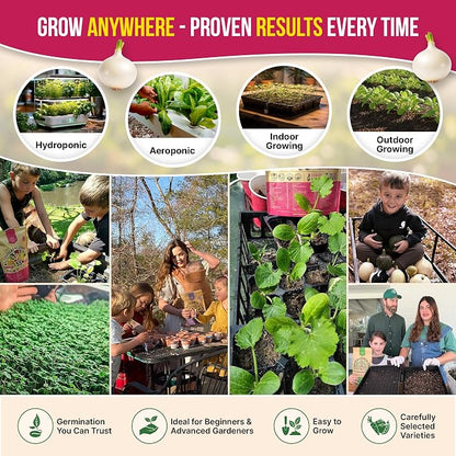 Organo Republic 8 Onion Seeds Variety Pack Heirloom, Non-GMO, Sets for Indoors, Outdoors Gardening. 2200+ Seeds: Walla Walla, Green Onion, Red Burgundy, White & Yellow Sweet Spanish Onions