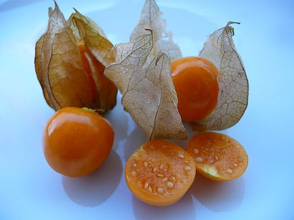 Seeds Strawberry Physalis Cape Gooseberry Goldenberry Ground Cherry Orange Non GMO Vegetable for Planting