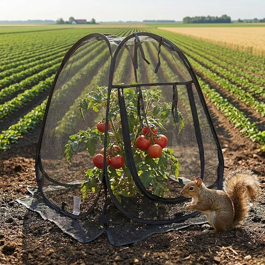 Plant Covers Pop up Gardening Net Cover,Insect Bird Barrier Netting Mesh Plant Netting Pest Guard Cover with Zip Entry for Plants, 1-Pack, Black (Black-1 Pack)