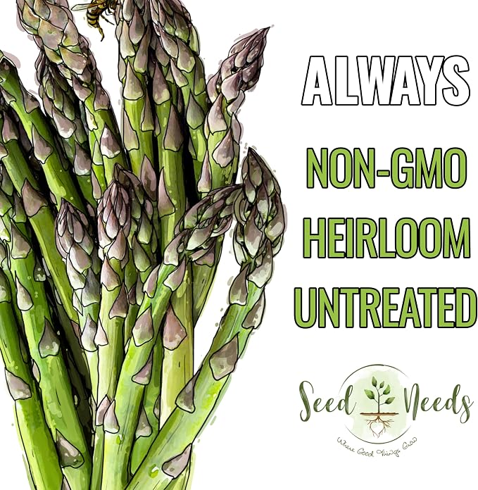 Seed Needs Mary Washington Asparagus Seeds to Plant Heirloom 5 Packs