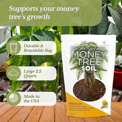 Professional Money Tree Soil Mix Large 2.2 Quarts Ready to Use, Premium Indoor Potting Soil for Money Tree Plants, Peat Moss Coco Coir Perlite Dolomite, Fast Draining Nutrient Rich Blend Made in USA