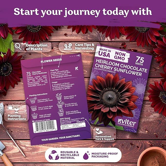 KVITER 75 Chocolate Cherry Sunflower Seeds to Plant (Helianthus annuus) – Heirloom Seed Non GMO Sunflowers Variety, Long Vase-Life Blooms – Flower Seeds for Planting in Home Garden